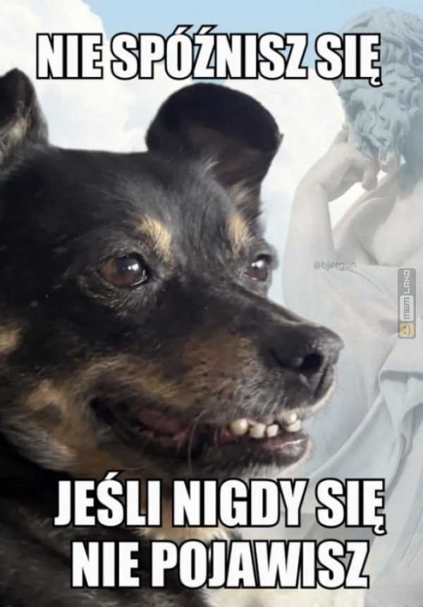 Śmieszny mem: 8482497 - MemLand