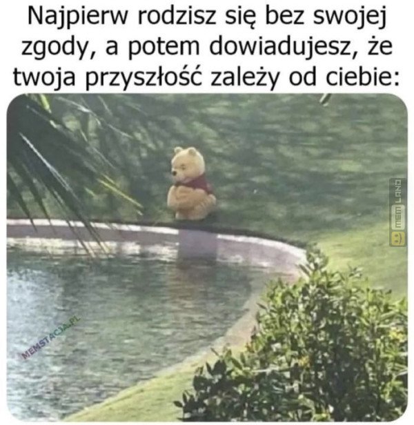 Śmieszny mem: 8483890 - MemLand