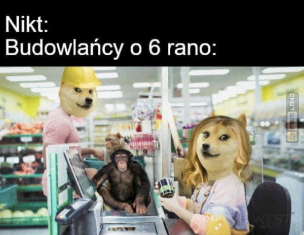 Śmieszny mem: 8492007 - MemLand