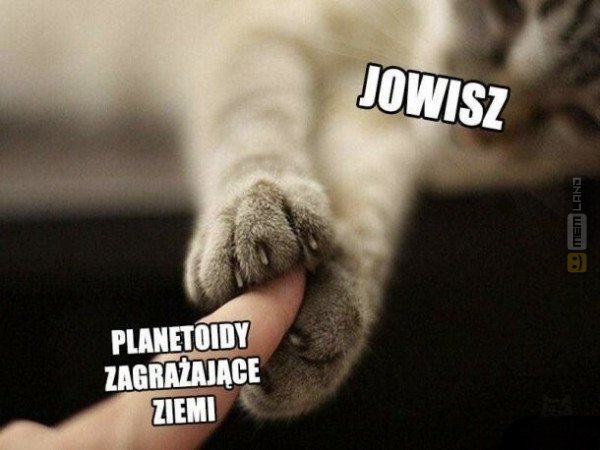 Śmieszny mem: 8498103 - MemLand