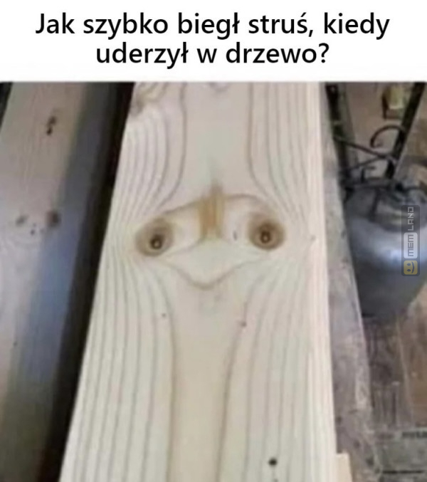 Śmieszny mem: 8503291 - MemLand