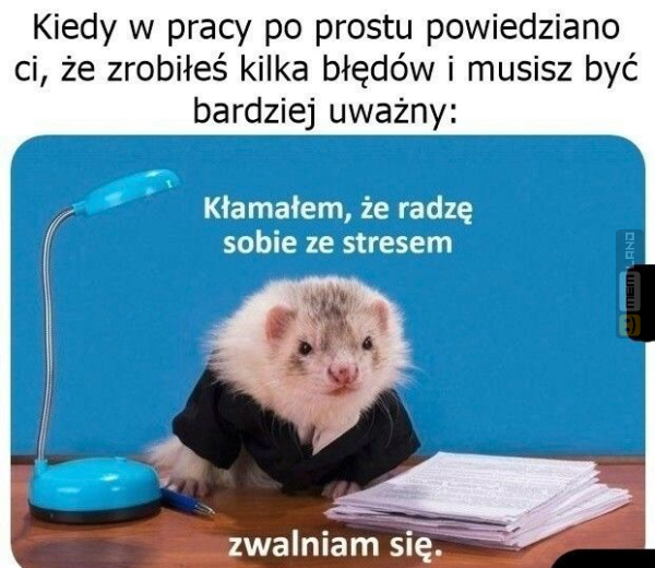 Śmieszny mem: 8503801 - MemLand