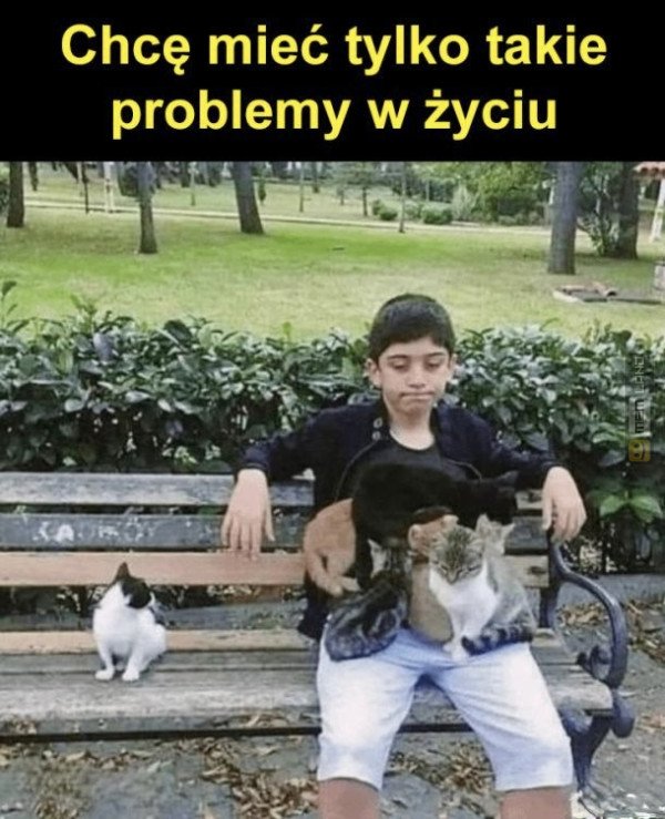 Śmieszny mem: 8504720 - MemLand