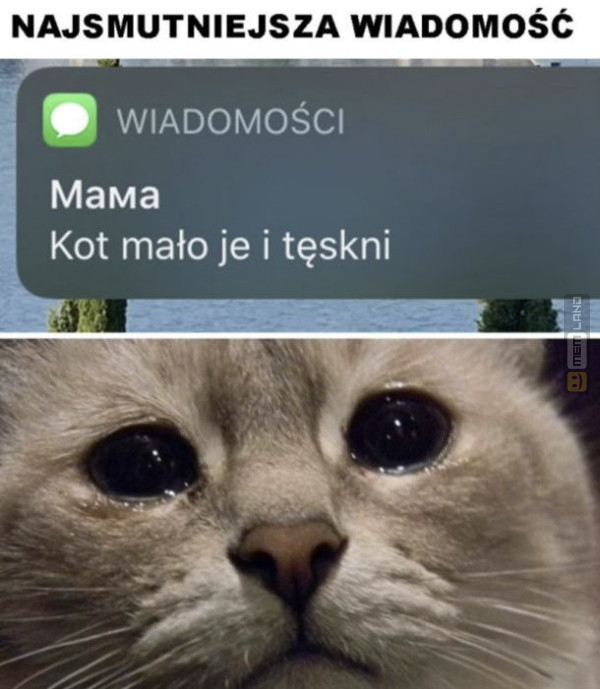 Śmieszny mem: 8506973 - MemLand