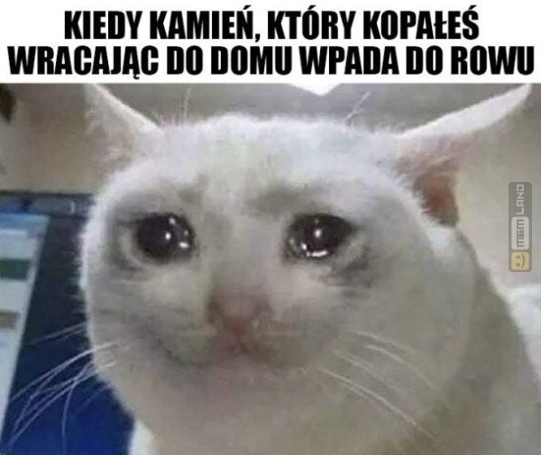 Śmieszny mem: 8512423 - MemLand