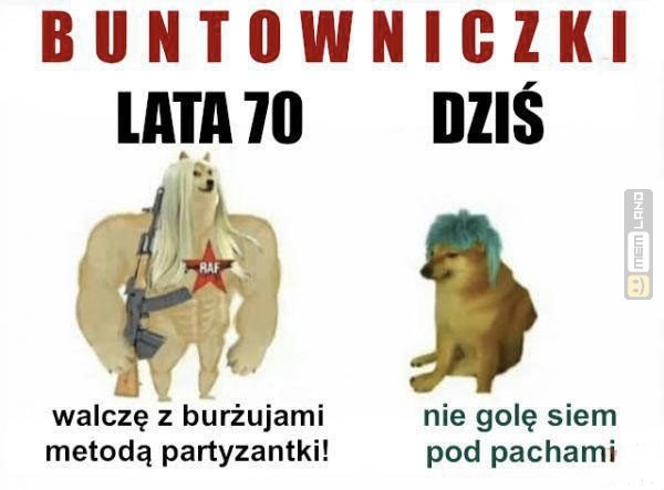 Śmieszny mem: 8513111 - MemLand