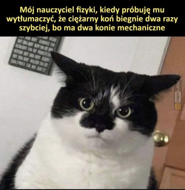 Śmieszny mem: 8514989 - MemLand