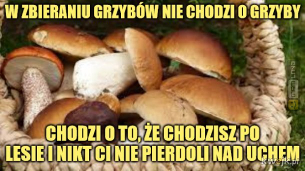 Śmieszny mem: 8515400 - MemLand