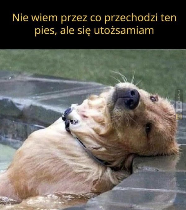 Śmieszny mem: 8515764 - MemLand