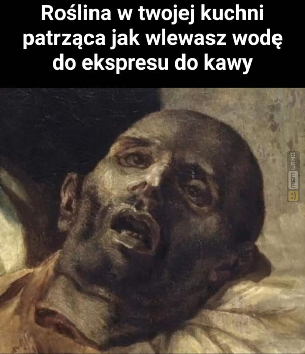 Śmieszny mem: 8519400 - MemLand