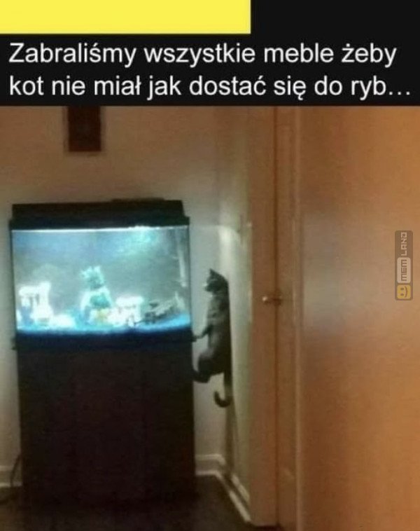Śmieszny mem: 8522511 - MemLand