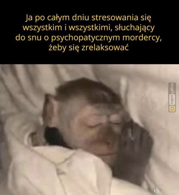 Śmieszny mem: 8528843 - MemLand