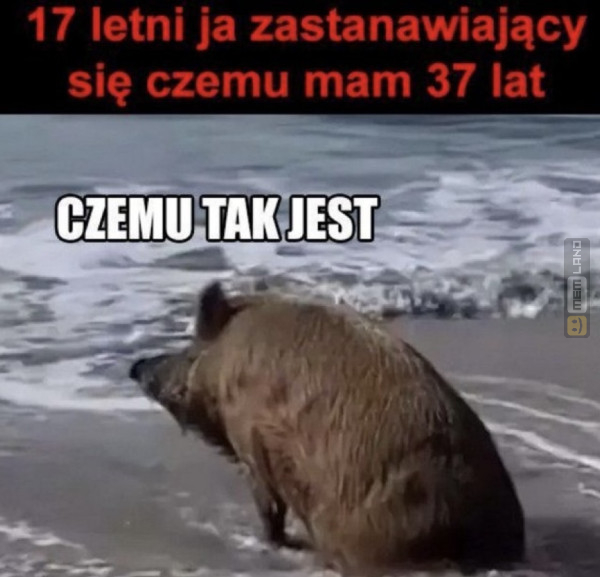 Śmieszny mem: 8549467 - MemLand