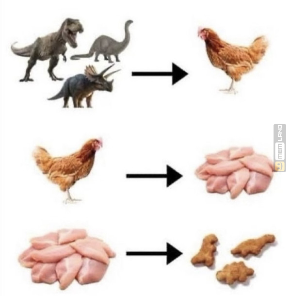 Śmieszny mem: 8553396 - MemLand