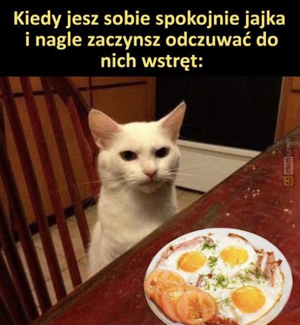 Śmieszny mem: 8560360 - MemLand