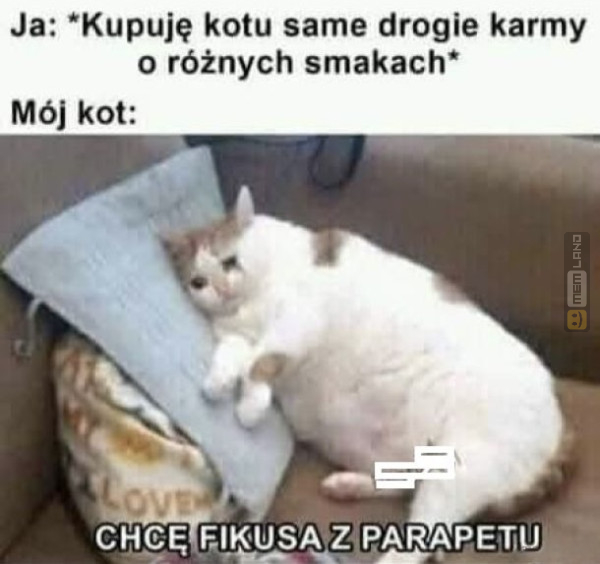 Śmieszny mem: 8562616 - MemLand