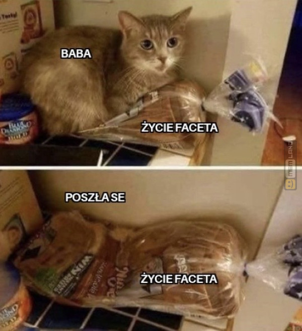 Śmieszny mem: 8566334 - MemLand