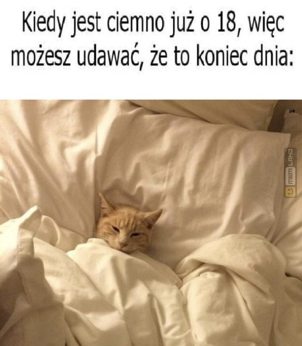 Śmieszny mem: 8566884 - MemLand