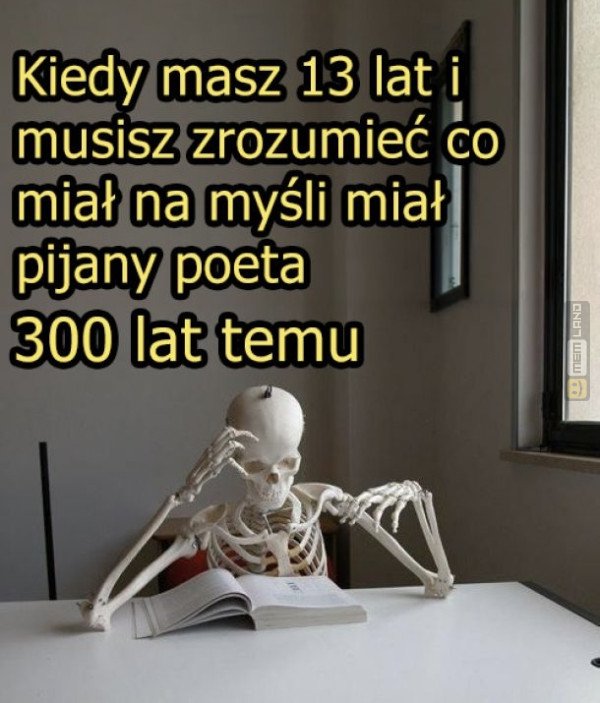 Śmieszny mem: 8568519 - MemLand