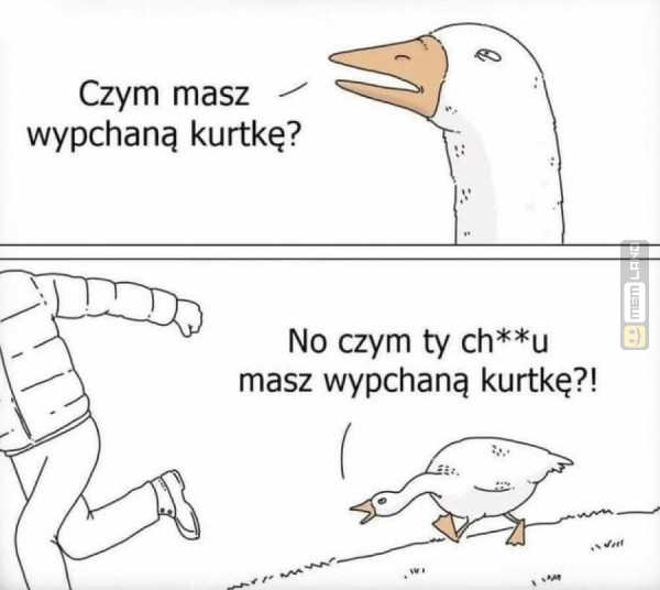 Śmieszny mem: 8575265 - MemLand