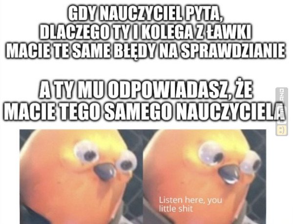 Śmieszny mem: 8576646 - MemLand