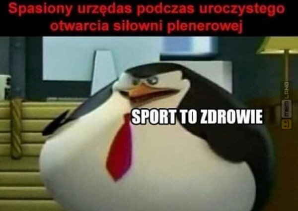 Śmieszny mem: 8597095 - MemLand