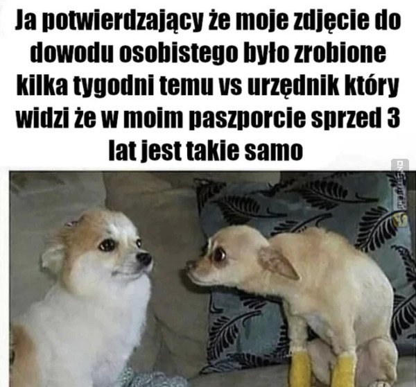 Śmieszny mem: 8604090 - MemLand