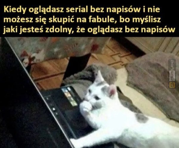 Śmieszny mem: 8604476 - MemLand