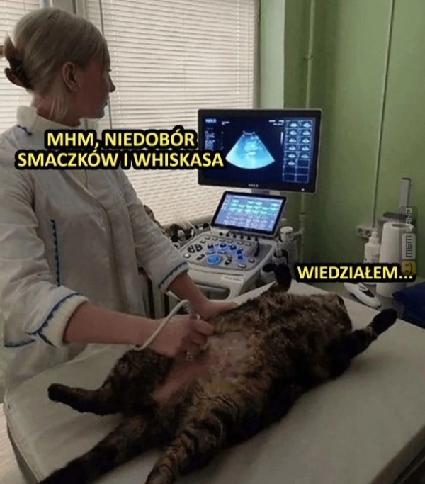 Śmieszny mem: 8607516 - MemLand