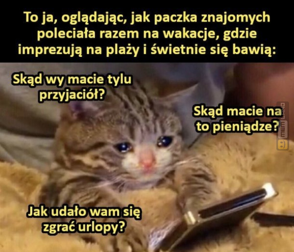 Śmieszny mem: 8611187 - MemLand