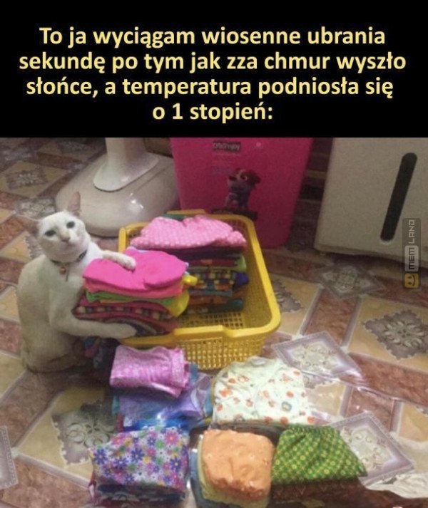 Śmieszny mem: 8616372 - MemLand