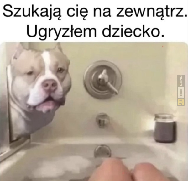 Śmieszny mem: 8618045 - MemLand