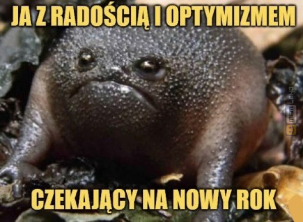 Śmieszny mem: 8629601 - MemLand