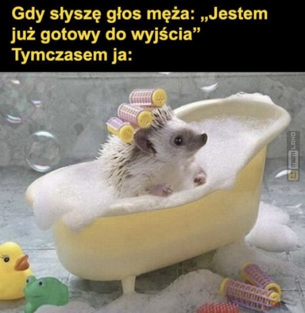 Śmieszny mem: 8634623 - MemLand