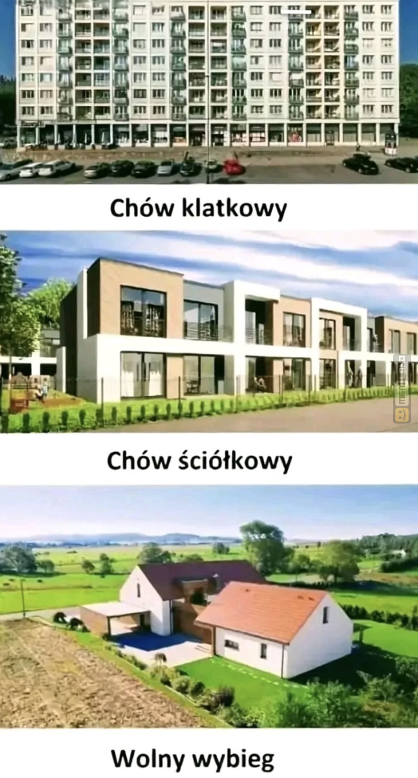 Śmieszny mem: 8635194 - MemLand