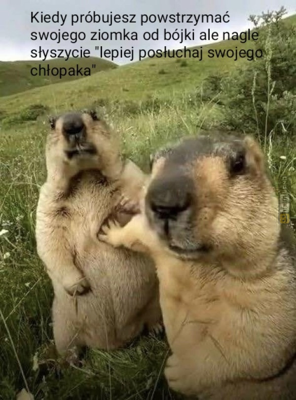 Śmieszny mem: 8636457 - MemLand