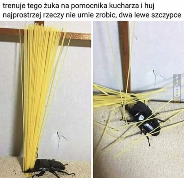 Śmieszny mem: 8642064 - MemLand