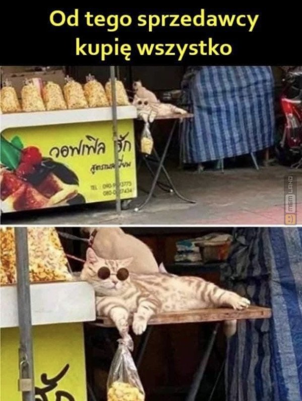 Śmieszny mem: 8644904 - MemLand