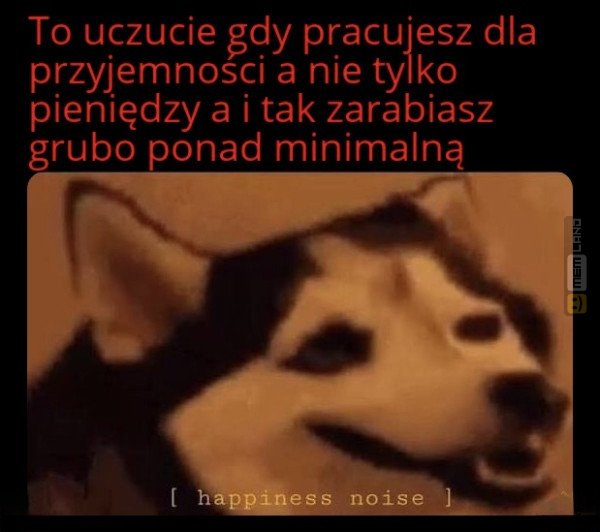 Śmieszny mem: 8648841 - MemLand