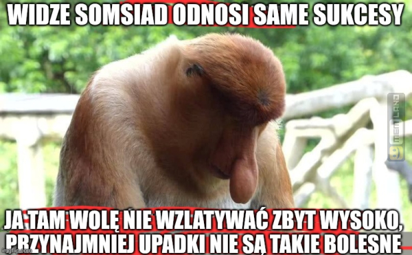 Śmieszny mem: 8661958 - MemLand