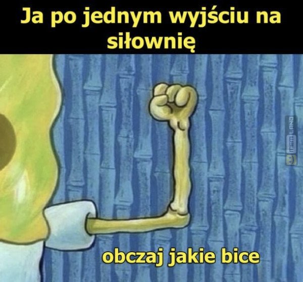 Śmieszny mem: 8666883 - MemLand