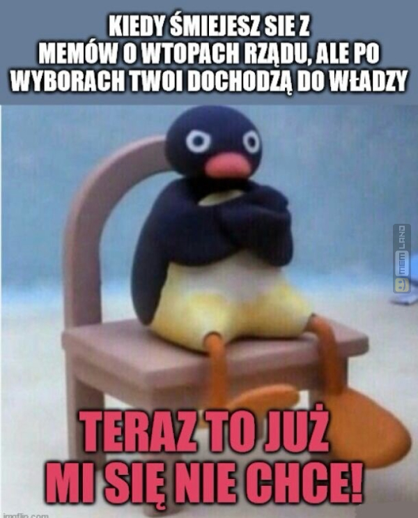 Śmieszny mem: 8667282 - MemLand