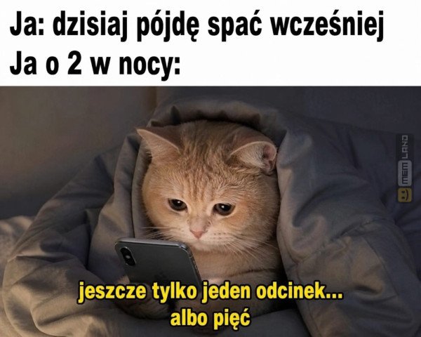 Śmieszny mem: 8673432 - MemLand