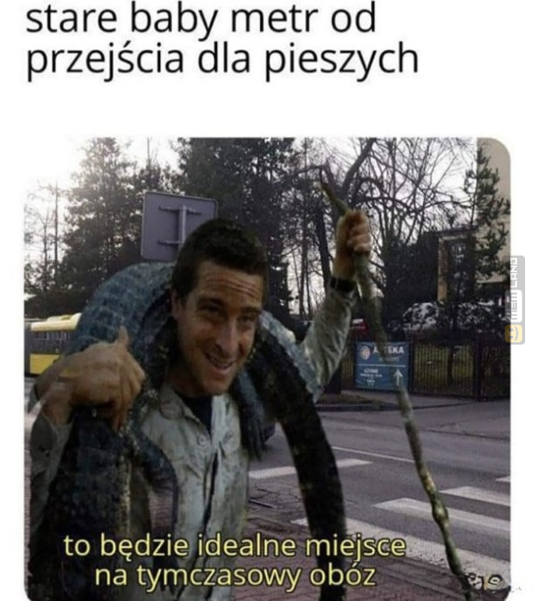 Śmieszny mem: 8679892 - MemLand