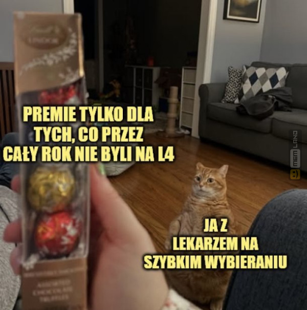 Śmieszny mem: 8683989 - MemLand