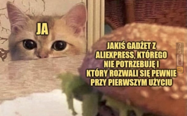 Śmieszny mem: 8684878 - MemLand