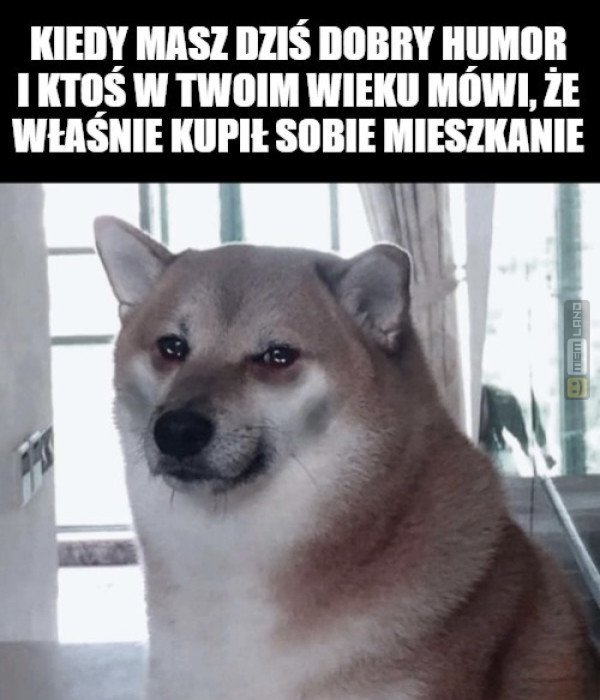 Śmieszny mem: 8687554 - MemLand