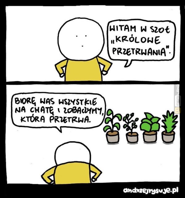 Śmieszny mem: 8689659 - MemLand