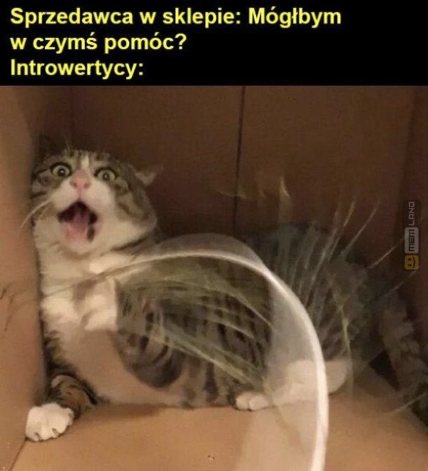 Śmieszny mem: 8704969 - MemLand