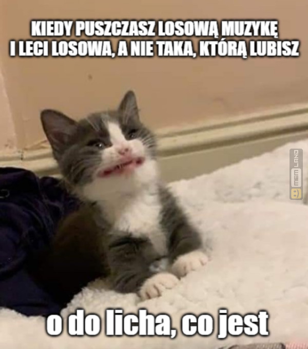 Śmieszny mem: 8710656 - MemLand